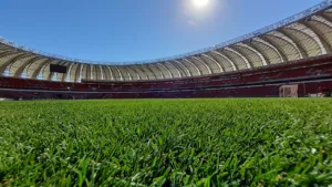 Gramado do Beira-Rio (Divulgação) Inter