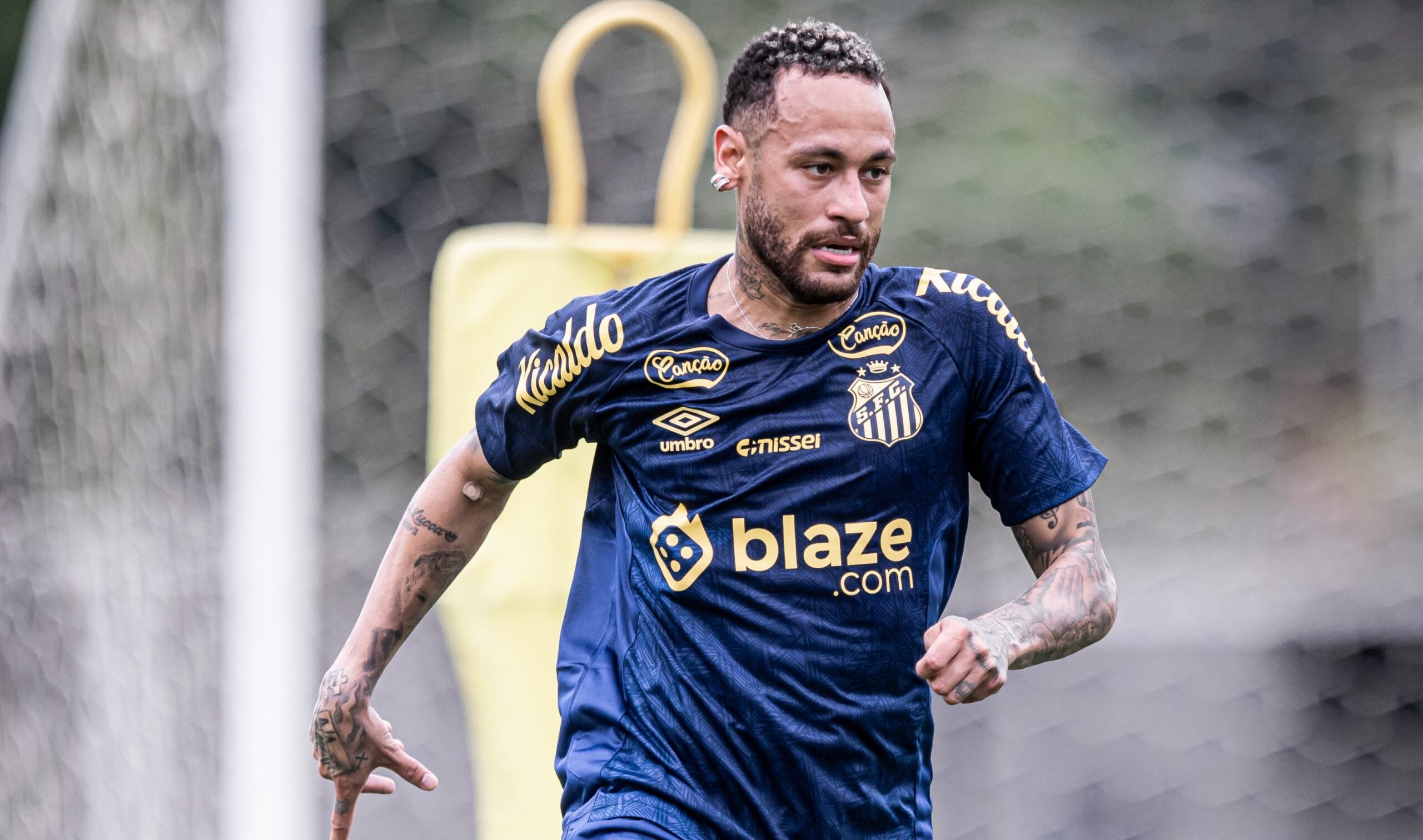 Neymar (Foto: Divulgação/Santos)