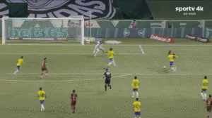 Jogo do Palmeiras contra o Fluminense pelo Brasileirão