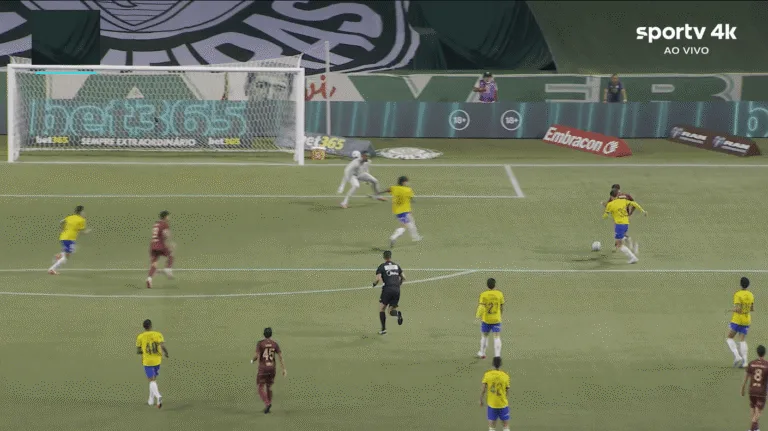 Jogo do Palmeiras contra o Fluminense pelo Brasileirão