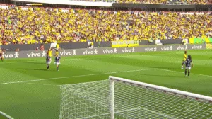 Seleção brasileira feminina no Beira-Rio